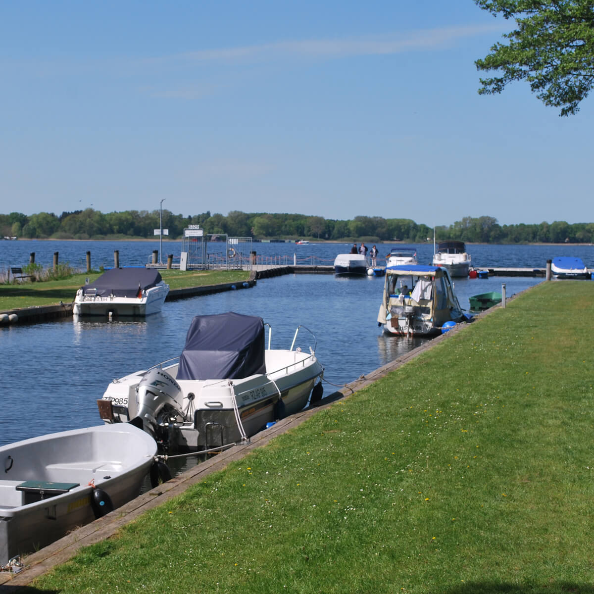 Kleine Boote und Yachten im Hafen am Plauer See in Mecklenburgische Seenplatte