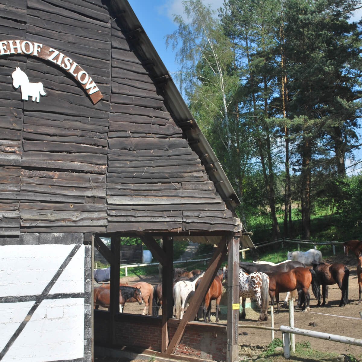 Reiterhof Zislow mit Pferden im Stallbereich am Plauer See