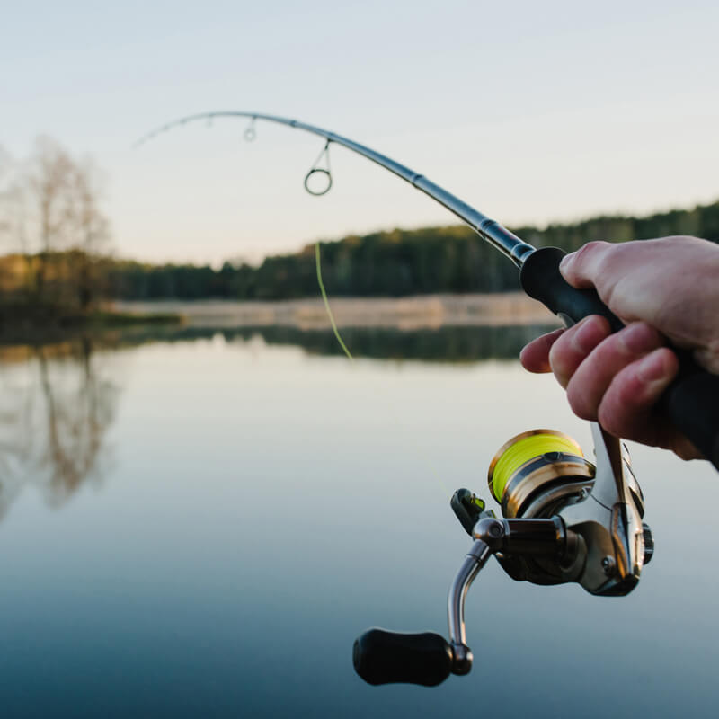 Angeln am Plauer See mit Angelrute – entspannte Freizeitaktivität inmitten der Natur